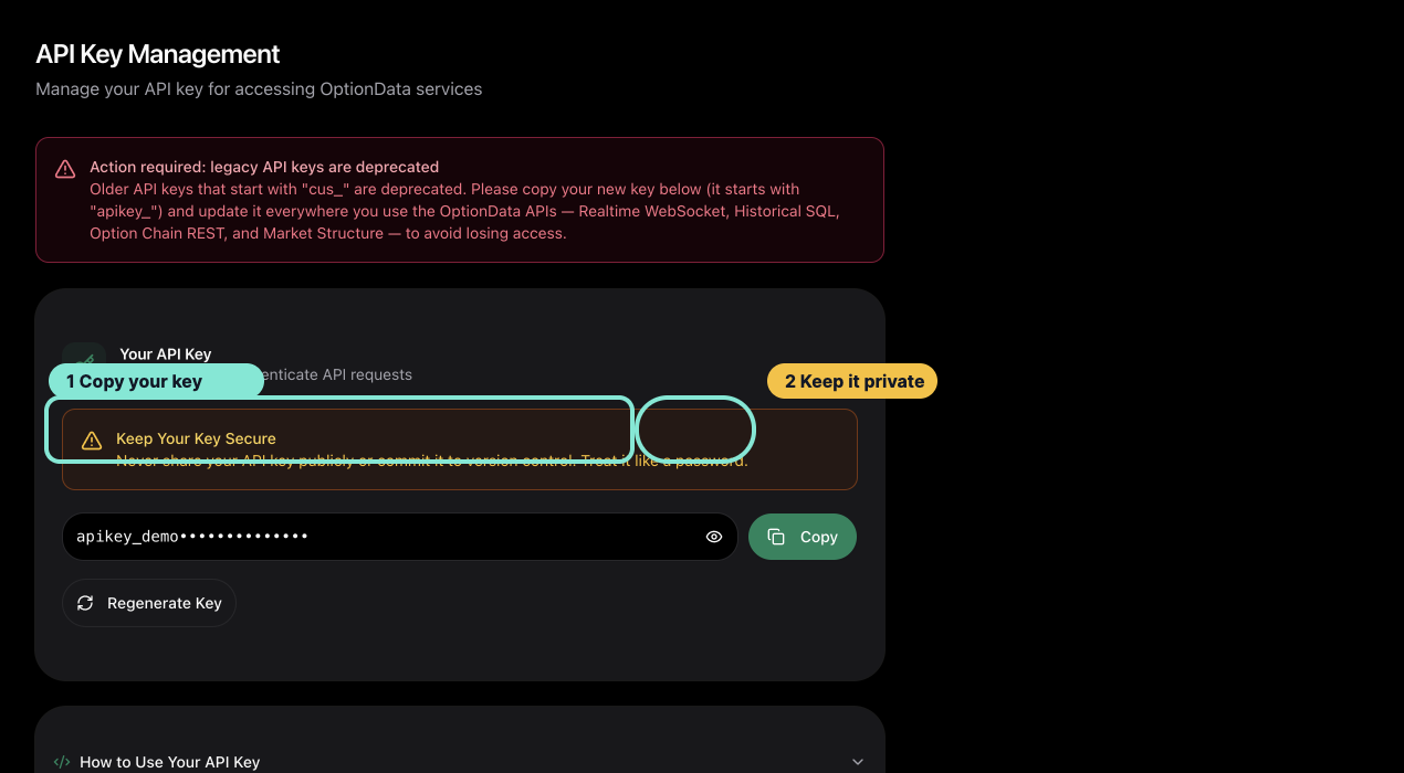 Annotated OptionData API Key page showing where to copy the key and the privacy reminder
