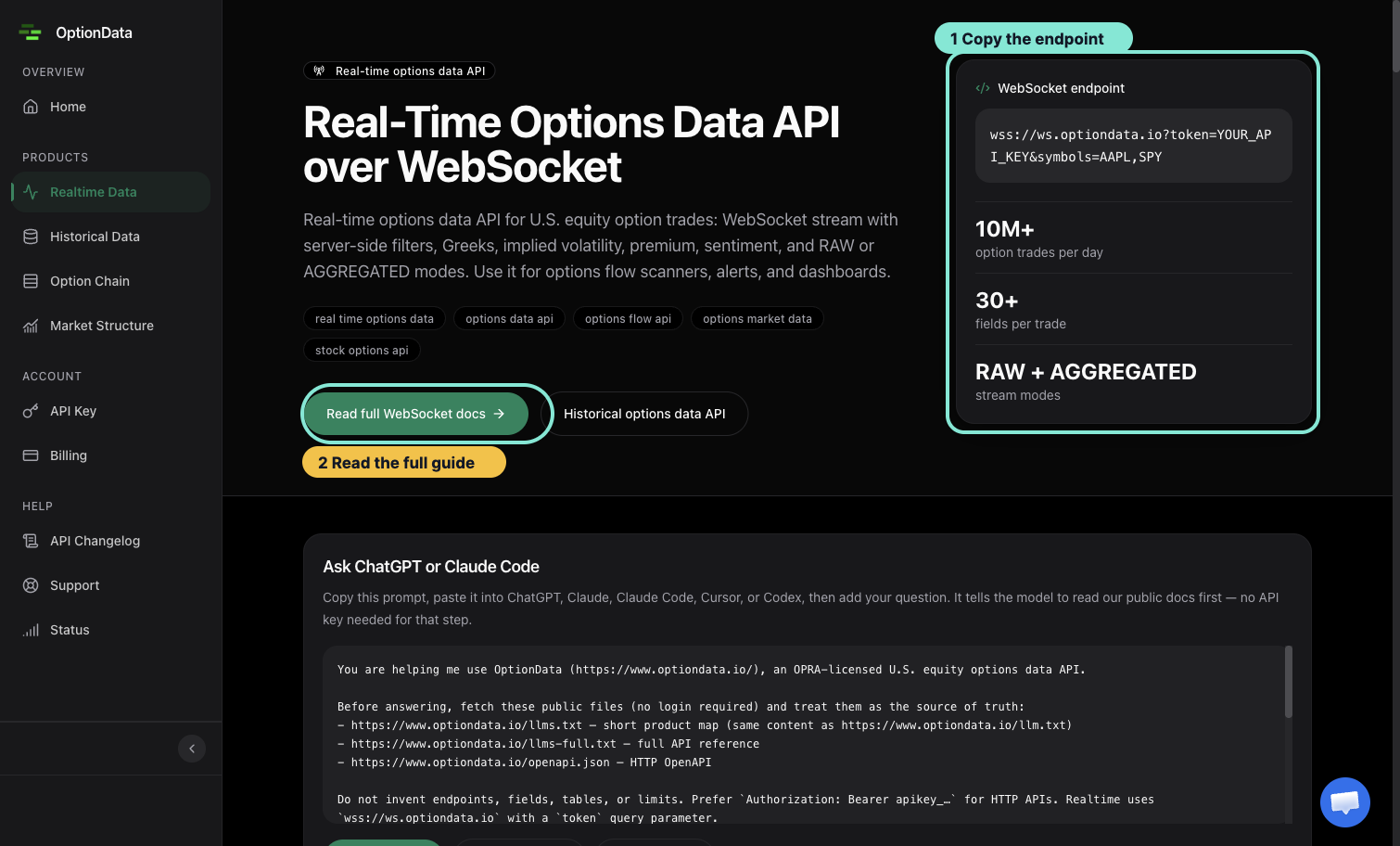 Annotated OptionData realtime page showing the WebSocket endpoint card and full documentation link